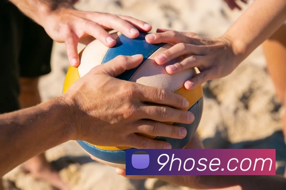 9游会j9官方平台平台生态图